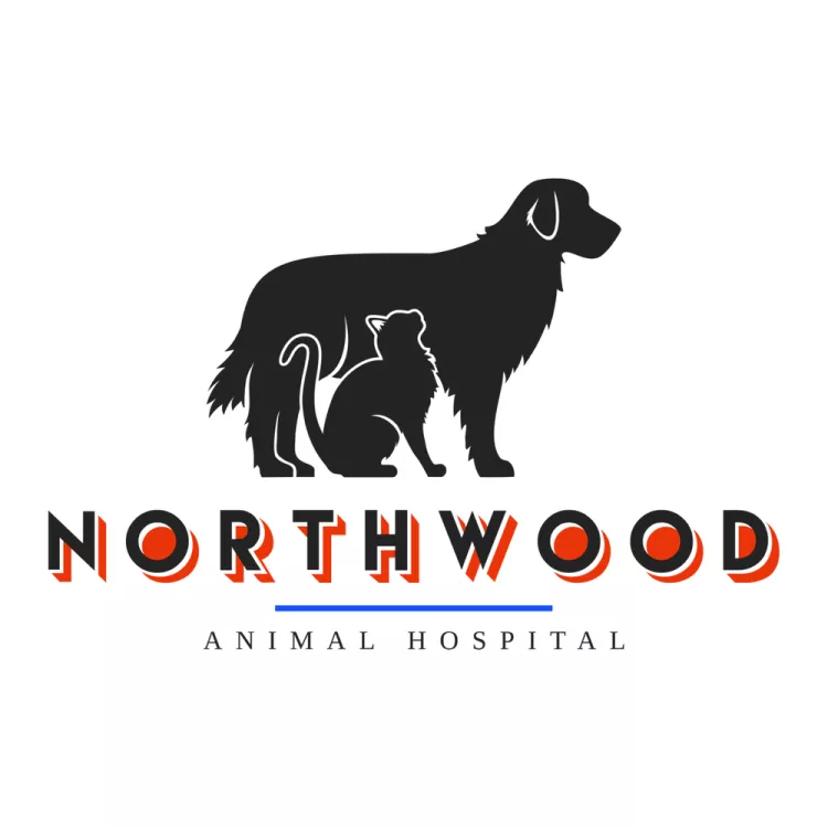 Northwood Animal Hospital, Texas, San Antonio